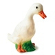 Lampe Veilleuse Canard 