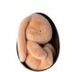 Peluche Lapin Bunny dans son Oeuf - Corail