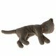 Peluche Chaton - Gris "Earth grey"