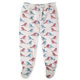 Pantalon Bébé Oiseaux Bicolores avec Pieds