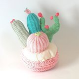 Sweet Cactus Collection