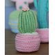 Barrel Cactus Pot Rose