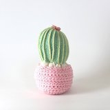 Barrel Cactus Pot Rose