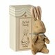 Peluche "My First Bunny" dans sa Boite Cadeau - Bleu