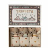Bébés Souris Triplets dans leur Boite