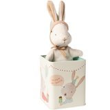 Mini Peluche Lapin Bunny dans sa Boîte Happy Day