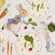 12 Grandes Assiettes en carton Peter Rabbit & Friends