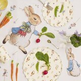 12 Grandes Assiettes en carton Peter Rabbit & Friends