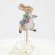 Lot de 12 Mini Pics Peter Rabbit & Friends