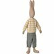 Grand Lapin Rabbit - Taille 5 (Mega)