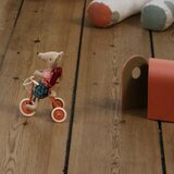 Tricycle pour Souris avec son Abri - Corail