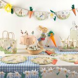 8 Petites Assiettes en carton Pierre Lapin dans le Jardin