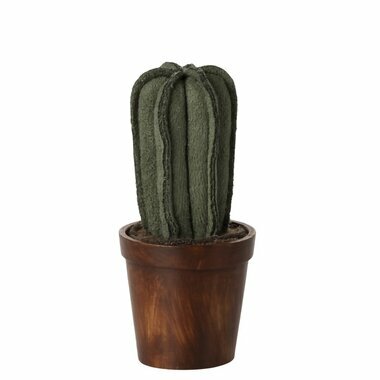 Mini Cactus dans son Pot