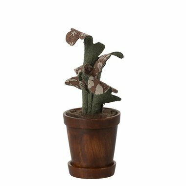 Mini Plante dans son Pot