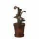 Mini Plante dans son Pot