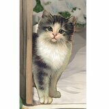 Calendrier de l'Avent Grand Format - Boutique de Noël