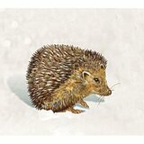 Calendrier de l'Avent Format A3 - Maison de Noël Magique