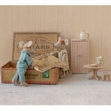 Maman et Papa Souris dans Boite à Cigares