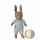Coffret Lapin Marron (taille Micro) - Combinaison Bleue