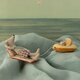 Souris de Plage Papa sur son Matelas